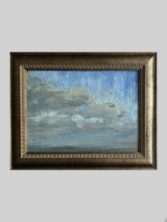 «Птицы в небе»